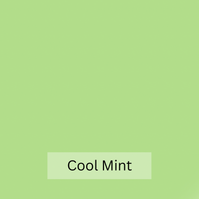 Straight Leg Elasticated Waist Pant