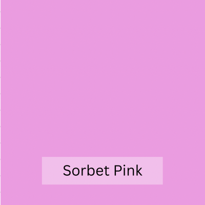 Straight Leg Elasticated Waist Pant